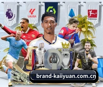brand-kaiiyuan.com.cn APP